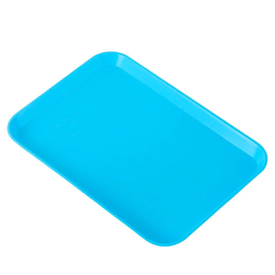 Autoclavable Flat Tray 13.25" x 9.75" Plastic Single Tray Multicolor
